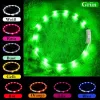 LED antkaklis Anicoll Green šunims ir katėms Model 9997790759014, įkraunamas apšvietimas