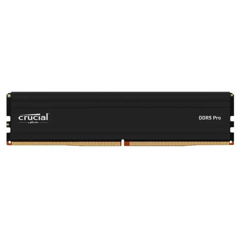 Crucial CP24G56C46U5 atminties modulis