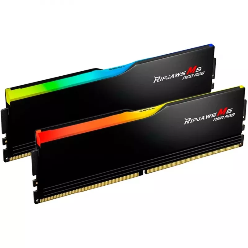 G.skill F5-6000J3636F32GX2-RM5NRK atminties modulis