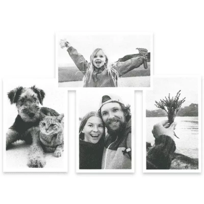 Terminio spausdinimo popieriaus ritinėliai EASYPIX InstantFUN 5x 55600 — 5 terminio popieriaus ritinėlių pakuotė