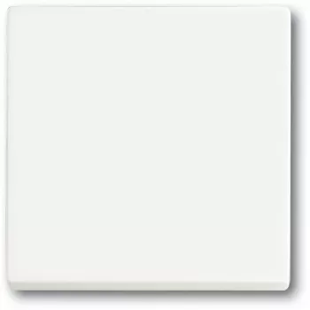 Šviesos jungiklis Busch-Jaeger 1751-0-3027 — plastikinis korpusas, balta, mygtukinis valdymas, 63×63 mm