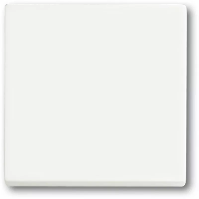 Šviesos jungiklis Busch-Jaeger 1751-0-3027 — plastikinis korpusas, balta, mygtukinis valdymas, 63×63 mm