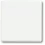 Šviesos jungiklis Busch-Jaeger 1751-0-3027 — plastikinis korpusas, balta, mygtukinis valdymas, 63×63 mm