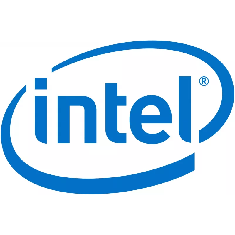 Intel Remote Management Module 4 Lite 2 - nuotolinio valdymo adapteris (AXXRMM4LITE2)