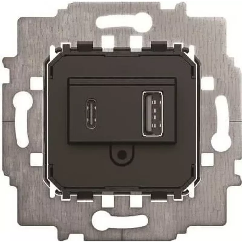 BJ 6475 U maitinimo šaltinis – USB A+C įdėklas (2CKA006400A0398)