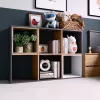 Topeshop MALAX 2X3 ANT/ART svetainės knygų spinta