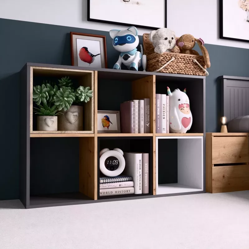Topeshop MALAX 2X3 ANT/ART svetainės knygų spinta