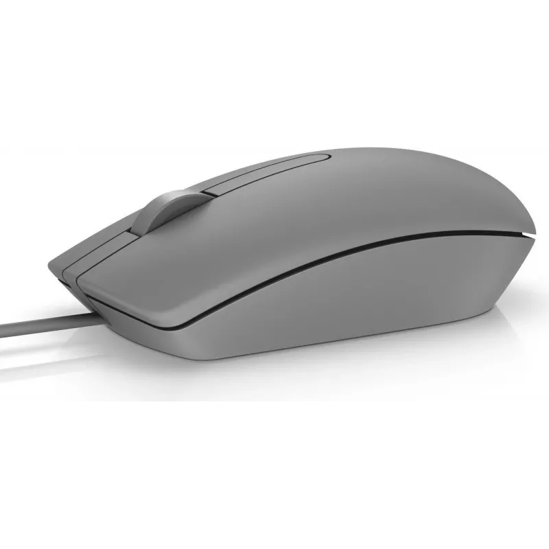 Dell MS116 USB laidinė pelė Sapphire BrownBox Positive - Pelė - 1.000 dpi