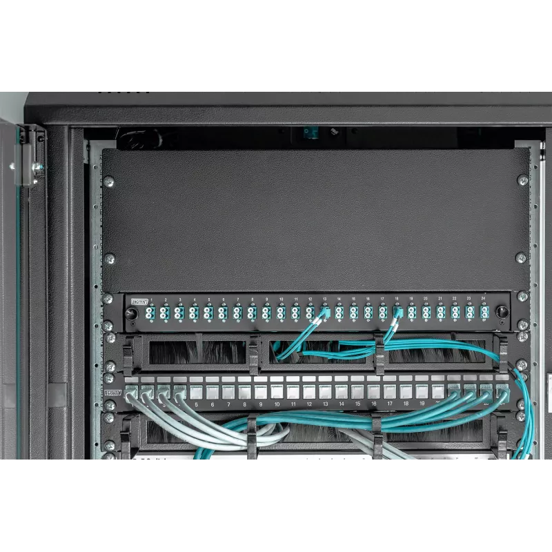 Tuščioji panelė Digitus DN-19 BPN-04-SW