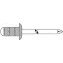 Aklina kniedė GESIPA PG Al/A2 4×10 mm RAL8014 — pakuotėje 500 vnt.