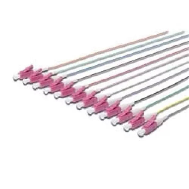 Skaidulinės optijos pigtailai Digitus LC OM4 50/125 µ vienpusis 2 m