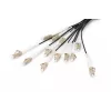 Breakout kabelis Digitus DK-2433CU030BK-BBB 30m OM4 12 skaidulų LC/UPC