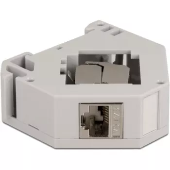 Delock - Modulinis adapteris - montuojamas ant DIN bėgelio - CAT 6a - STP - Pilkas - 1 jungtis (86014)