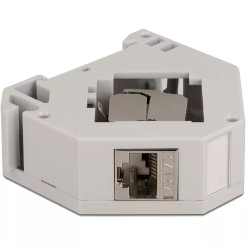 Delock - Modulinis adapteris - montuojamas ant DIN bėgelio - CAT 6a - STP - Pilkas - 1 jungtis (86014)