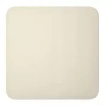 Mygtukas Schneider Electric Ajax SoloButton (1 vnt.) dramblio kaulo spalvos, 82,8×82,8×10,3 mm