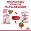 Šlapias kačių ėdalas Royal Canin Sterilised Gravy, 12 x 85 g maišeliai — vištiena, sterilizuotiems/ kastruotiems kačiukams, 11% baltymų, 80,5% drėgmės