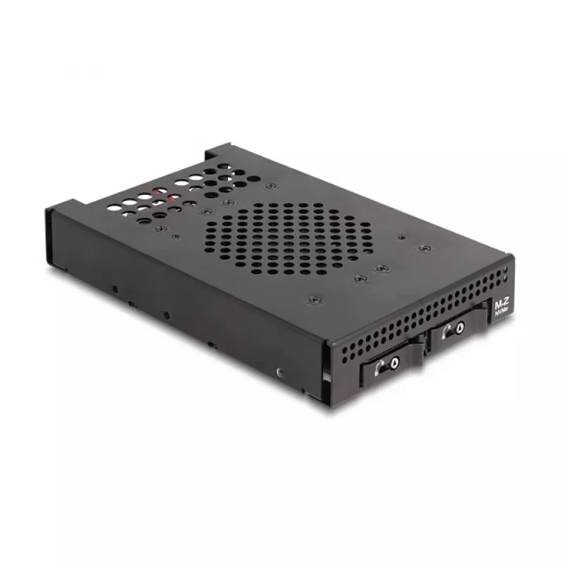 SSD enclosure DeLOCK 47117 3.5 inch Mobile Rack for 2 x M.2 NVMe SSD