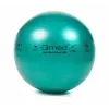 ABS reabilitacijos kamuolys su pompa, 65 cm