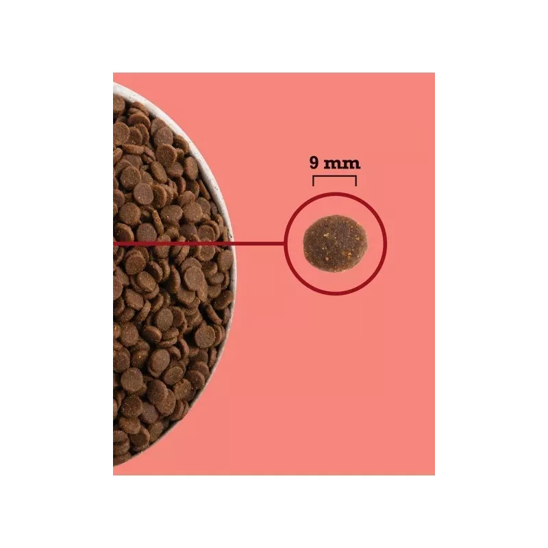 ACANA Highest Protein vidinis Cat – sausas kačių maistas – 1,8 kg