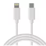 USB Type C - Lightning laidas, 1 m