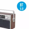 Nešiojamasis radijas MANTA RDI917PRO su Bluetooth ir USB atkūrimu