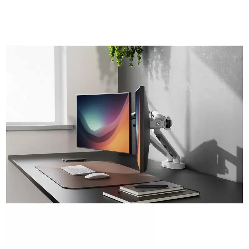 Monitoriaus laikiklis DIGITUS Dual dviejų 35 colių ekranų konstrukcija, spaustukas, 2×10 kg, VESA 75–100, pakreipimas -45–90°
