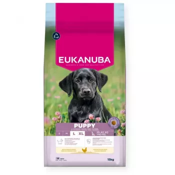 Sausas šunų maistas EUKANUBA Puppy Large Chicken 15 kg — šuniukų mišinys didelių ir milžiniškų veislių šuniukams, 26,5% baltymų