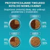 PURINA One Bifensis Sterilcat Jautiena - sausas kačių maistas - 800 g