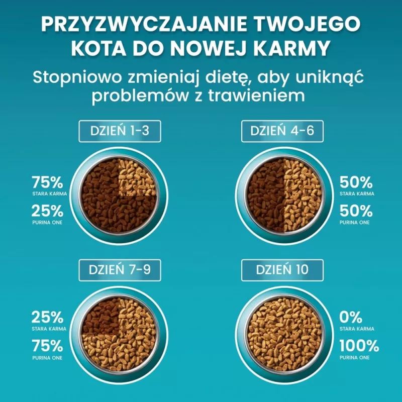 PURINA One Bifensis Sterilcat Jautiena - sausas kačių maistas - 800 g
