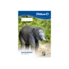 Meno popieriaus bloknotas Pelikan 224840