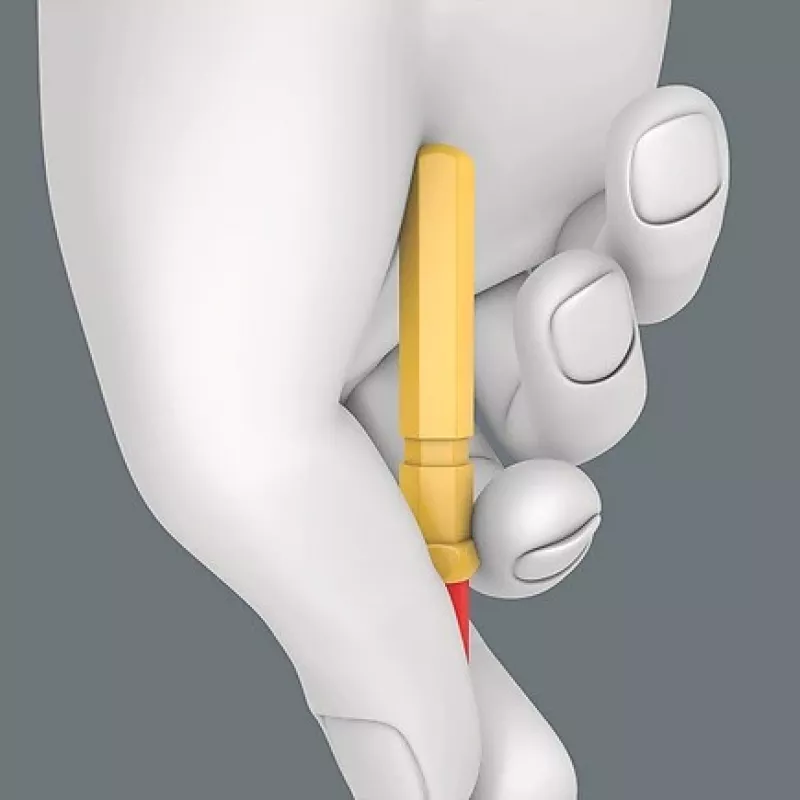 Wera 05006603001