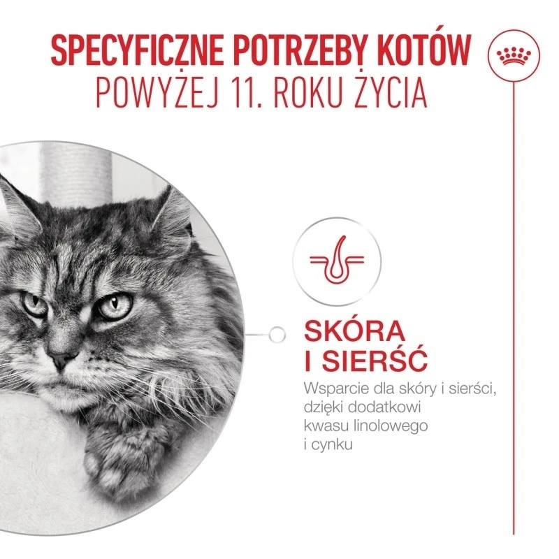 Sausas kačių ėdalas Royal Canin FHN Ageing 11+ 4 kg — visavertis ėdalas vyresnio amžiaus katėms, paukštiena, 30 % baltymų
