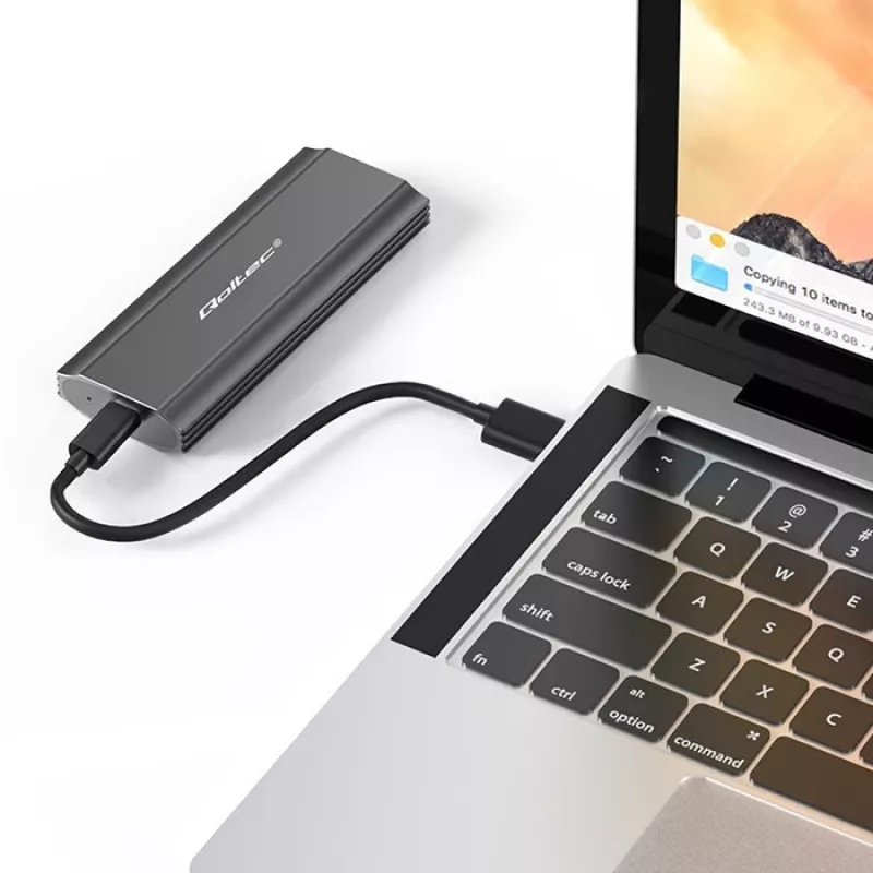 Qoltec 52271 saugojimo diskų dėklas SSD dėklas Pilka M.2