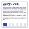 VET EXPERT Veterinary Diet Dermatosis Dog Salmon & Potato - sausas šunų maistas - 2 kg