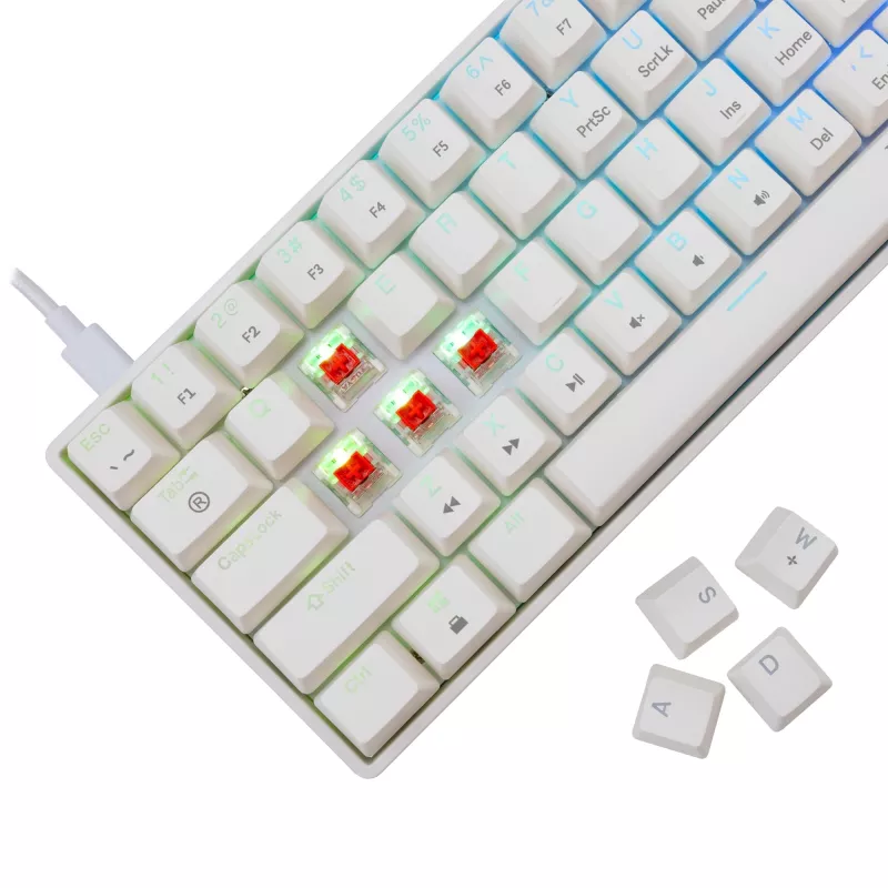 Laidinė mechaninė klaviatūra White Shark Shinobi-2 (GK-004211) — US išdėstymas, raudoni jungikliai, balta