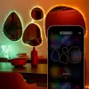 Twinkly Dots 60 RGB USB išmanieji žibintai, 3 m, juodi