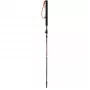 Adult Poles VIKING Mission FS folding ski-touring Pilka UNI