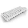 Sharkoon SGK25 75% QWERTZ USB laidinė RGB LED klaviatūra, balta