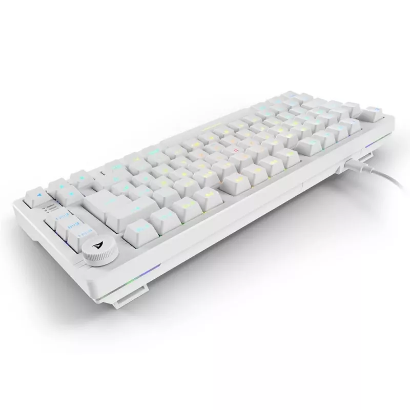 Sharkoon SGK25 75% QWERTZ USB laidinė RGB LED klaviatūra, balta