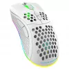 Žaidimų pelė Deltaco GAM-120-W RF belaidė USB Type-C
