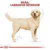 Sausas šunų maistas Royal Canin Labrador Retriever Adult 12 kg — Paukštiena, 30 % baltymų, 13 % riebalų