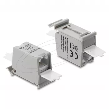 Tinklo RJ45 mova DELOCK Cat.6A dviguba lizdas-lizdas, skirta montuoti ant DIN bėgelio, pilka