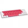 GAMIAC TKL69G SF žaidimų klaviatūra, Kailh Mėlyna - balta/raudona