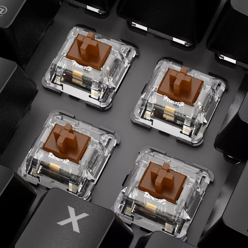 Klaviatūra Sharkoon SKILLER SGK20 Brown