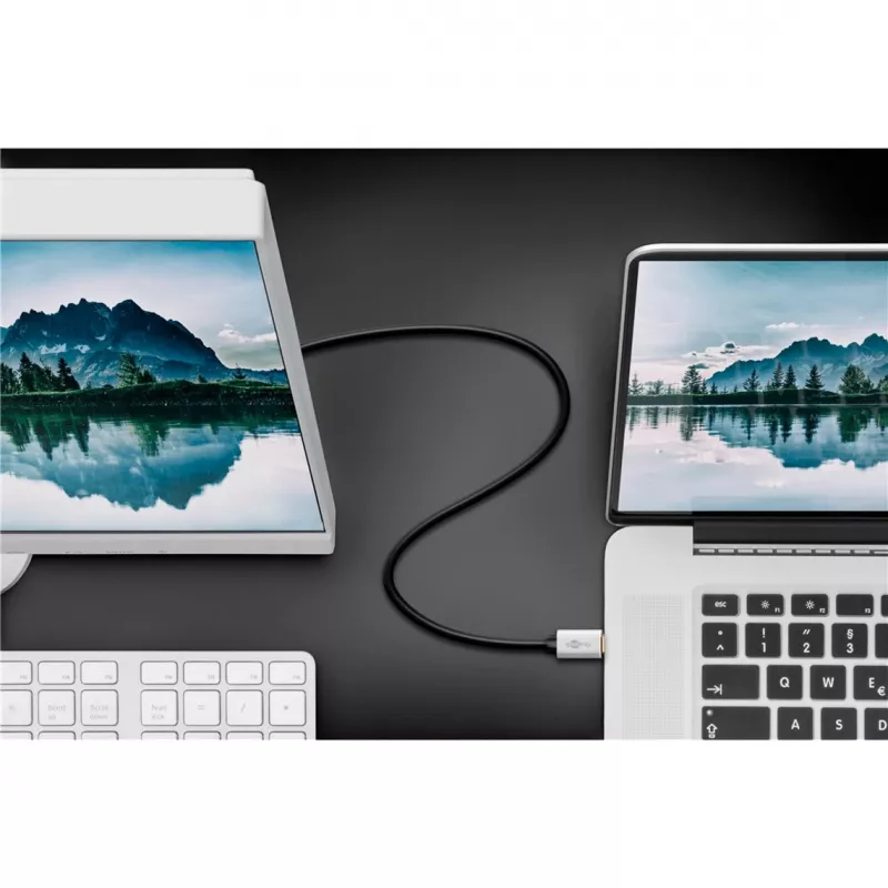 Goobay | USB-C į DisplayPort adapterio laidas | 60176 | Type-C | DisplayPort | USB-C į DisplayPort | 2 m