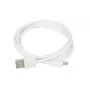 Maitinimo įkroviklis iBOX C-41 USB 2A, 1 USB prievadas, microUSB laidas, baltas