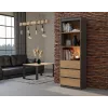 Biuro knygų spintos viršutinė dalis top e shop RS-60 ANT/ART KPL — 3 lentynos, medžio drožlių plokštė, 600×350×1800 mm