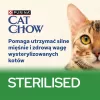 PURINA Cat Chow Sterilised Gig vištiena su baklažanu - drėgnas kačių maistas 85 g