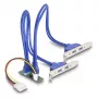 DeLOCK 61066 vidinis USB 3.2 Gen 1 adapteris M.2 Patinas Juoda
