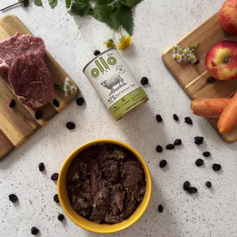 Šlapias šunų maistas OLLO Pure Beef and Green Tripe 400 g skardinė — suaugusiems, baltymai 14,5%, riebalai 11,9%, drėgmė 69%